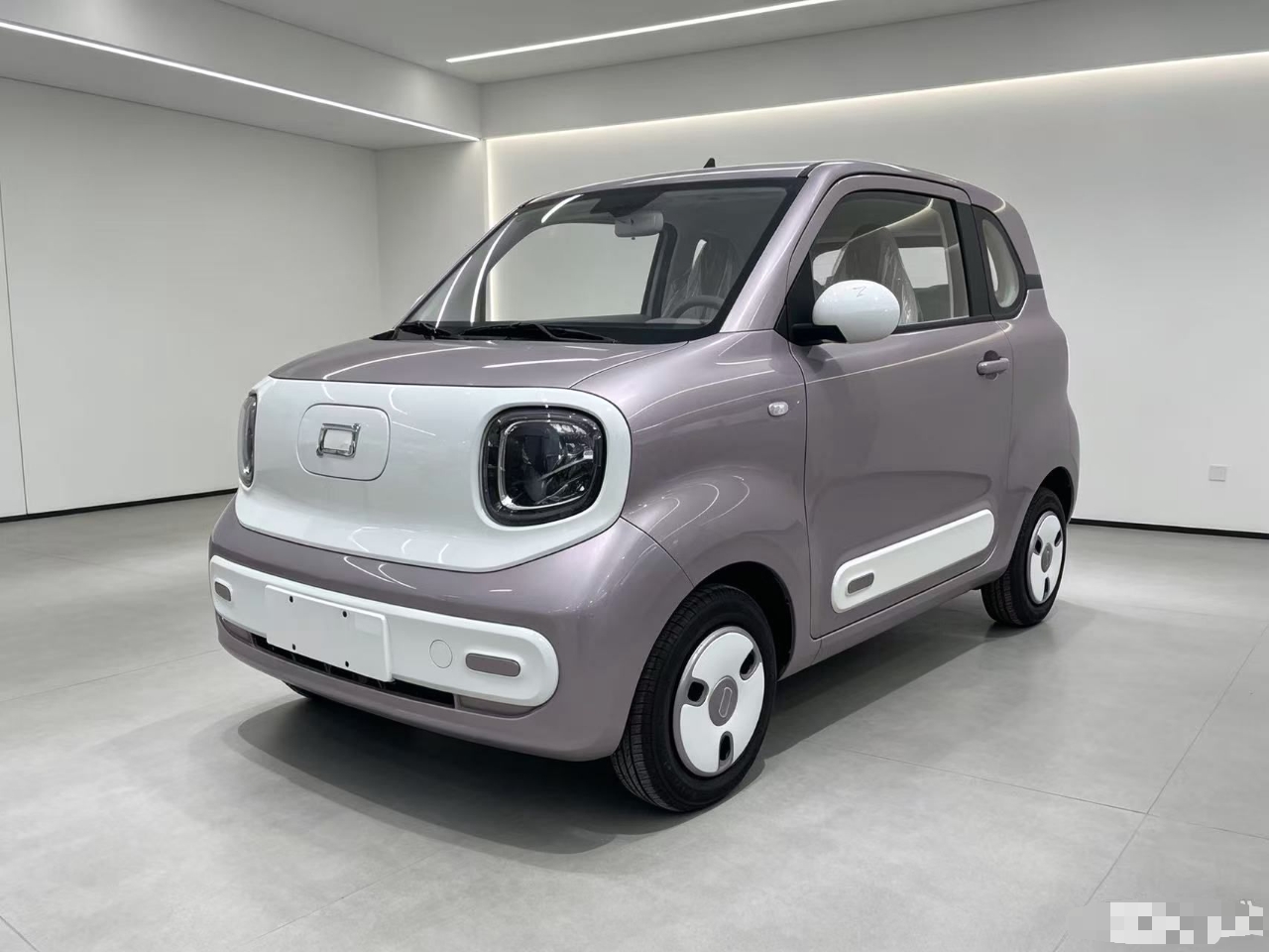 Sottocarro anteriore