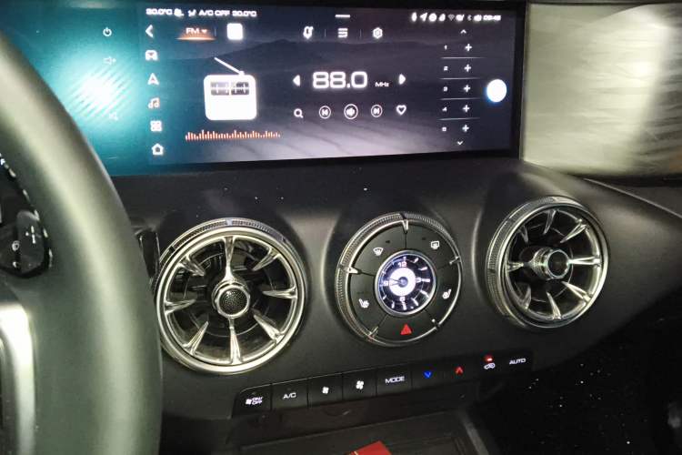 Used Tank 300 2024 2.0T Conqueror