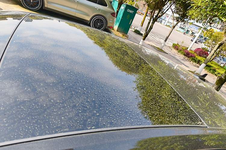 Used Audi A6L 2019 40 TFSI Luxury Prestige Edition
