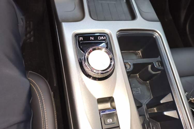 Used Haval DARGO 2024 2.0T DCT Chinese Rural Dog Edition
