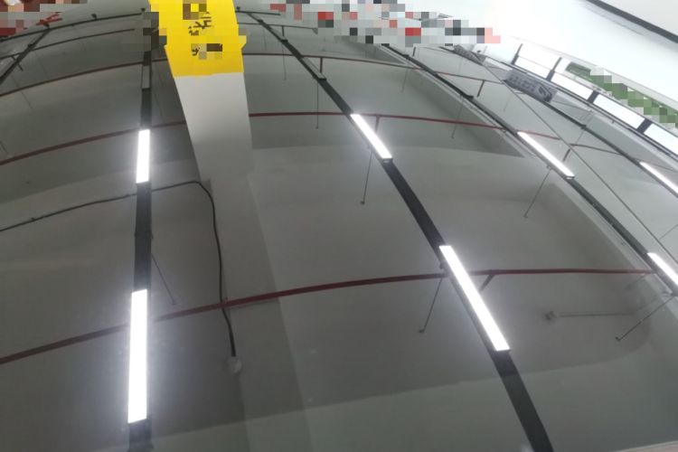 Used Tesla Model 3 2023 Rear-Wheel-Drive Version Roof