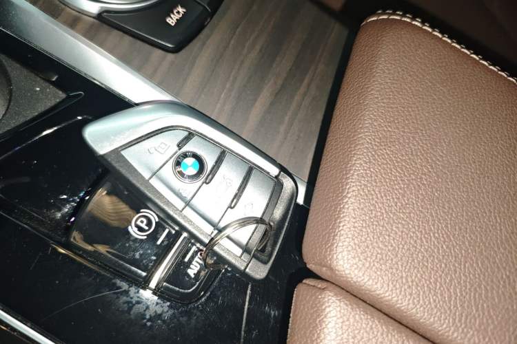 Used BMW 5 Series New Energy 2022 535Le Luxury Package
