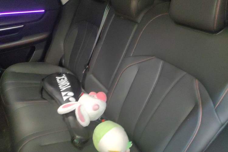 Used XPeng P7 2022 480E Left Rear Seat