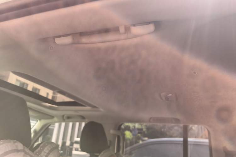 Used Tank 300 2023 City Edition 2.0T—Stylish as Ever Headliner