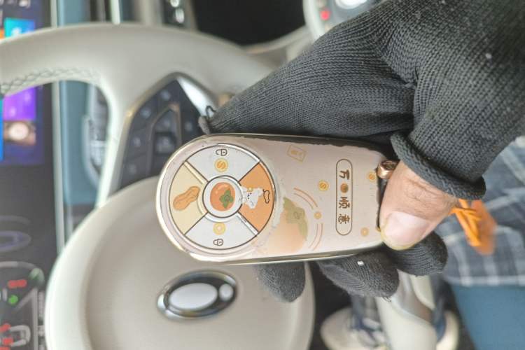 Used ORA Good Cat 2021 400km Standard Range Venus Edition Lithium Iron Phosphate
