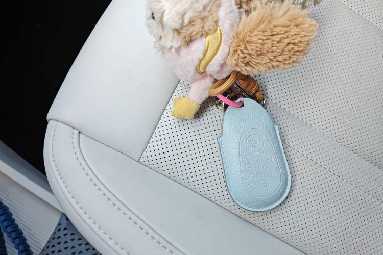 Used Geely Galaxy Geome 2025 UP 410km Exploration Edition Interior 1