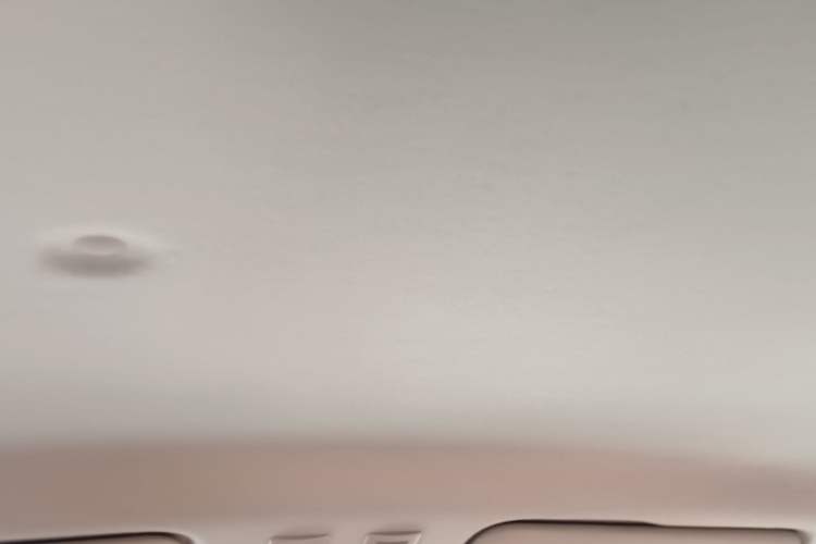 Used ORA Black Cat 2022 351 km Range Comfort Version Ternary Lithium