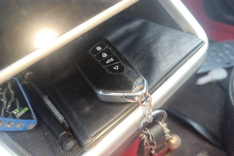 Used NETA V 2021 Long-Range Entertainment Edition Vehicle Key