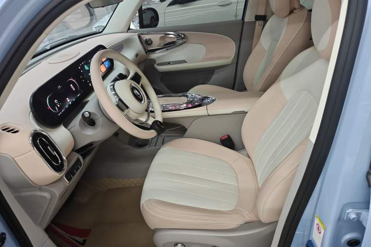 Used ORA Ballet Cat 2022 401 km Nutcracker Edition