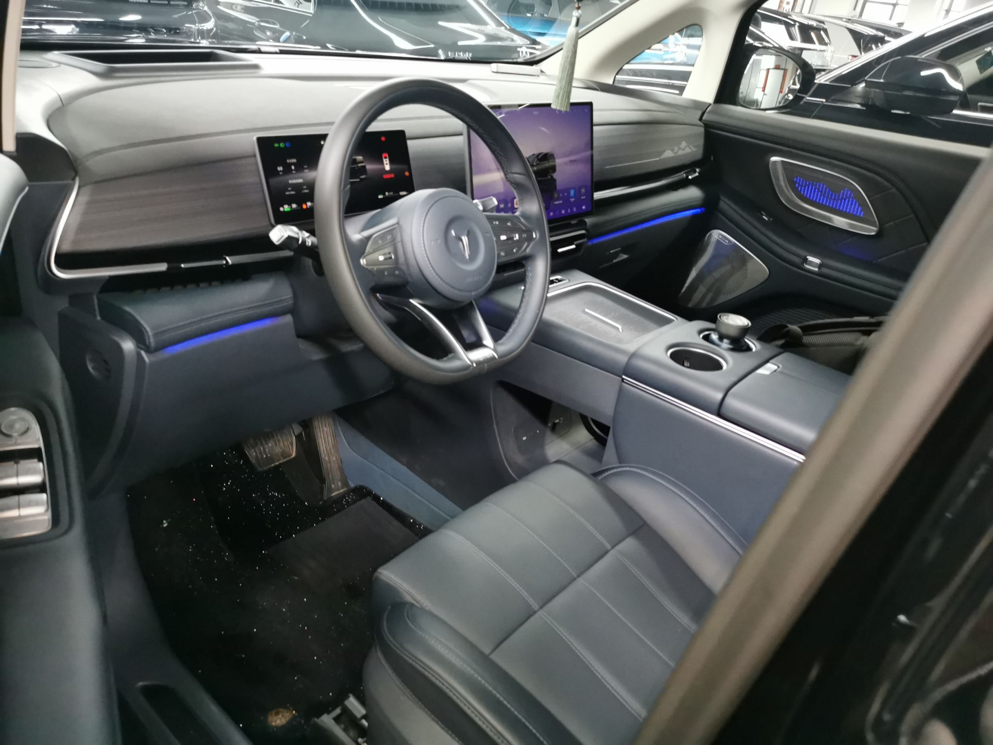 Interior delantero