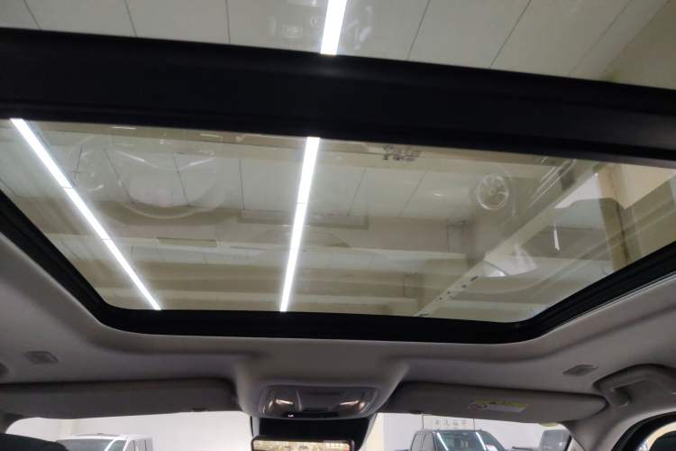 Used Tank 400 New Energy 2024 Hi4-T Off-Road Edition Headliner