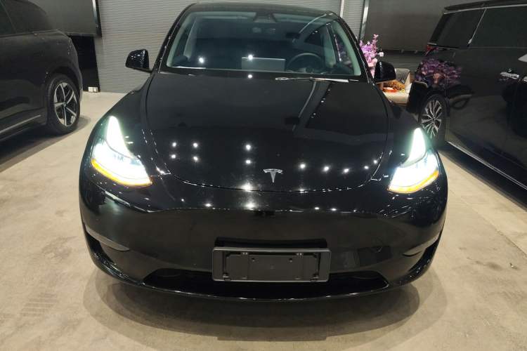 Used Tesla Model Y 2021 Standard Range Rear-Wheel Drive Version