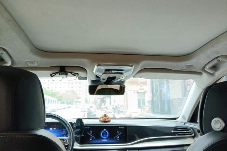 Used Hongqi H9 2022 3.0T Smart Connect Flagship Four-Seater Version Headliner