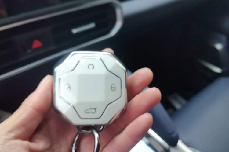 Used JETOUR Shanhai Traveler C-DM 2024 C-DM 208KM Mountain & Wilderness Edition
