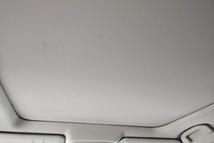 Used Nissan X-Trail 2019 2.5L CVT Smart Connect Luxury Edition 4WD Headliner