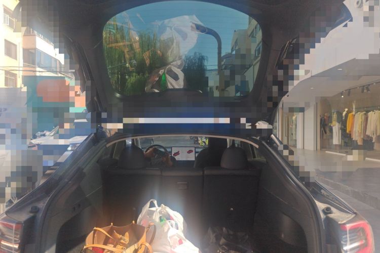 Used Tesla Model Y 2021 Standard Range Rear-Wheel Drive Version
