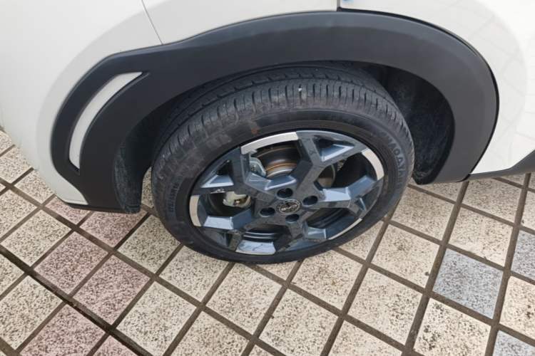 Used BYD Seagull 2025 305 km Free Version
