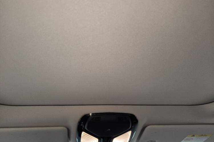 Used BMW 3 Series 2020 320Li M Sport Package Headliner