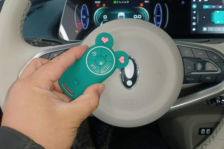 Used ORA Good Cat 2021 400km Standard Range Athena Edition Lithium Iron Phosphate
