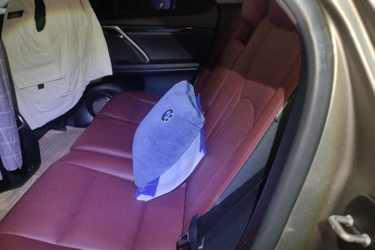 Used Lexus RX 2020 300 Two-Wheel Drive Elite Edition China VI Standard Left Rear Seat