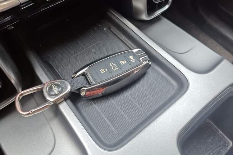 Used Haval DARGO 2024 2.0T DCT Chinese Rural Dog Edition