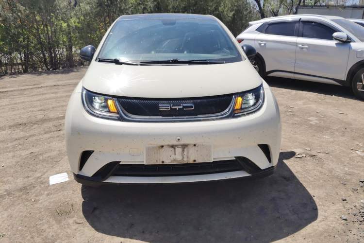 Used BYD Dolphin 2021 405 km Fashion Edition Front