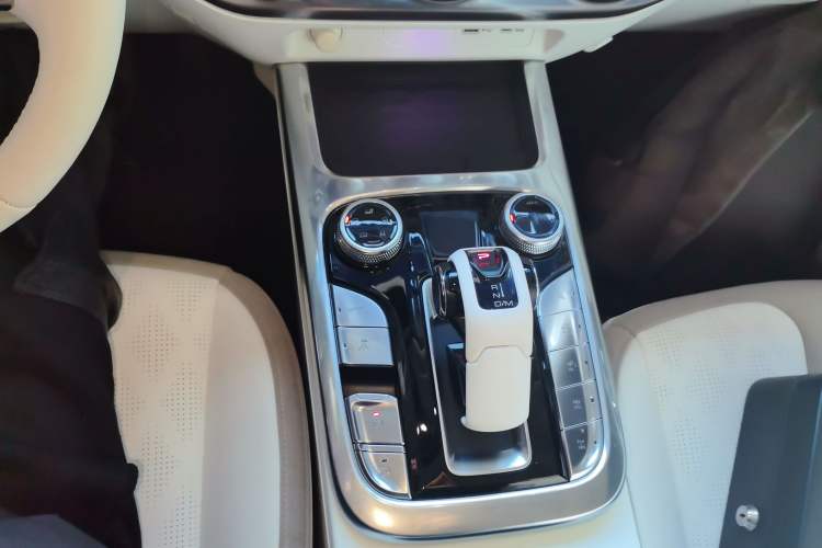 Used Cyberspace Tank 300 2021 2.0T Cyber Tank
