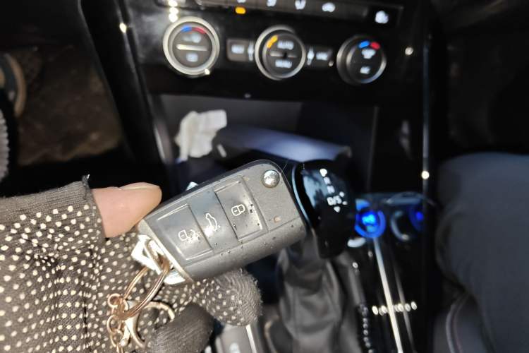 Used Volkswagen Tayron 2019 330TSI Two-Wheel Drive Luxury Model China VI Standard