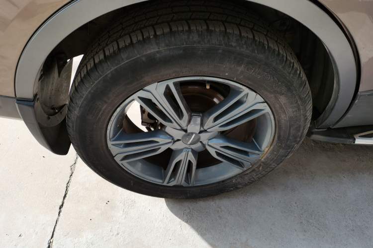 Used Leopaard CS10 2017 2.0T Manual Fashion Edition