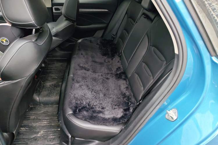 Used Geely Auto Preface 2021 2.0TD Luxury Version Left Rear Seat