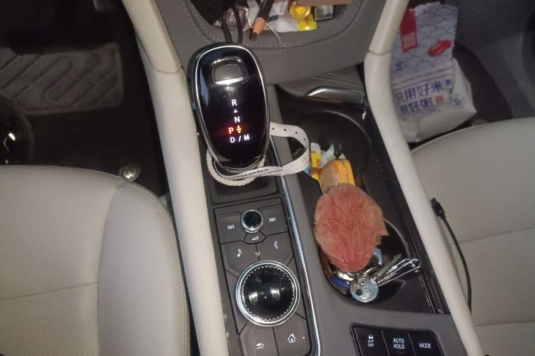 Used Cadillac XT5 2024 2.0T All-Wheel-Drive Luxury Version (Hummingbird Edition)