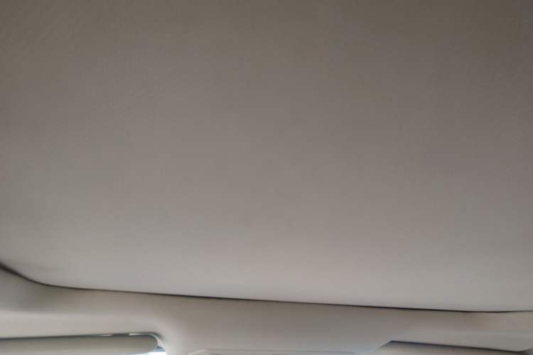 Used Ford Kuga 2013 2.0L GTDi Four-Wheel-Drive Elite Model Headliner