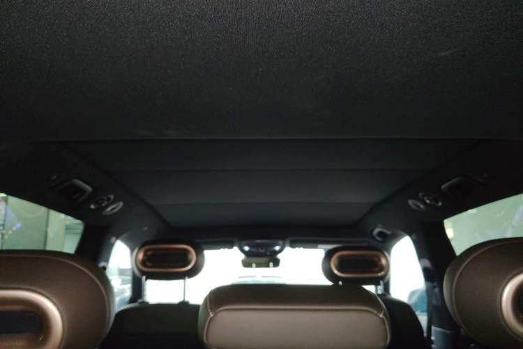 Used smart #5 2024 Jungle Realm Limited Edition