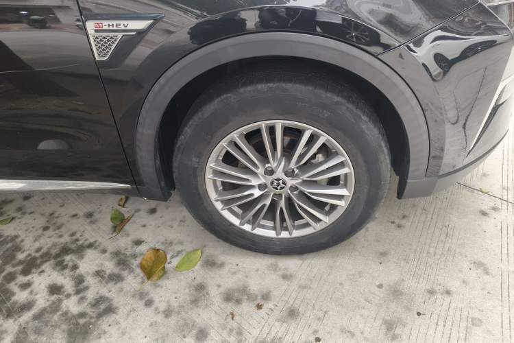 Used Venucia Star 2021 260T Automatic 48V Mild Hybrid Turbocharged Star Achieve Edition