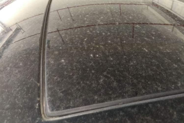 Used Volkswagen Golf 2020 200TSI DSG Comfortable and Ambitious Edition