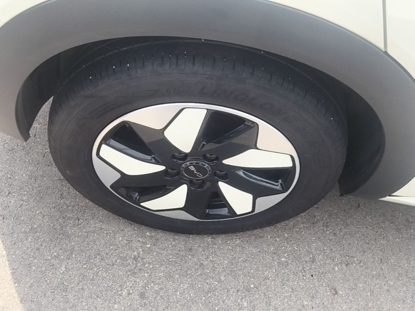 BYD Dolphin 2024 Honor Edition 420km Freedom Version — снимка 11