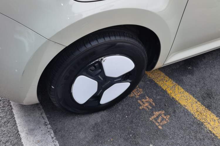 Used Qiyuan Lumin 2022 301km Honey-Sweet Version
