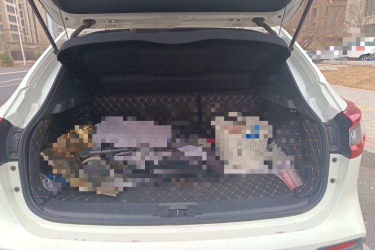 Used Nissan Qashqai 2019 2.0L CVT Luxury Edition
