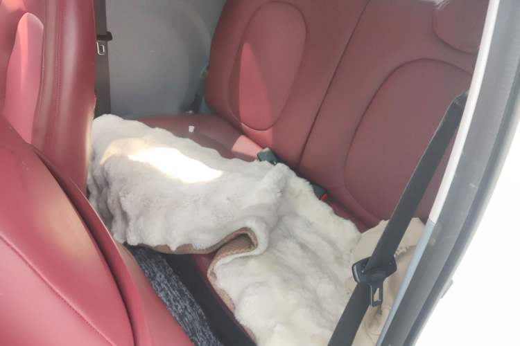 Used Bestune Pony 2024 170km Range Energizing Horse Interior 4