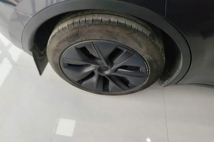 Used Tesla Model Y 2024 Rear-Wheel-Drive Version Exterior 5