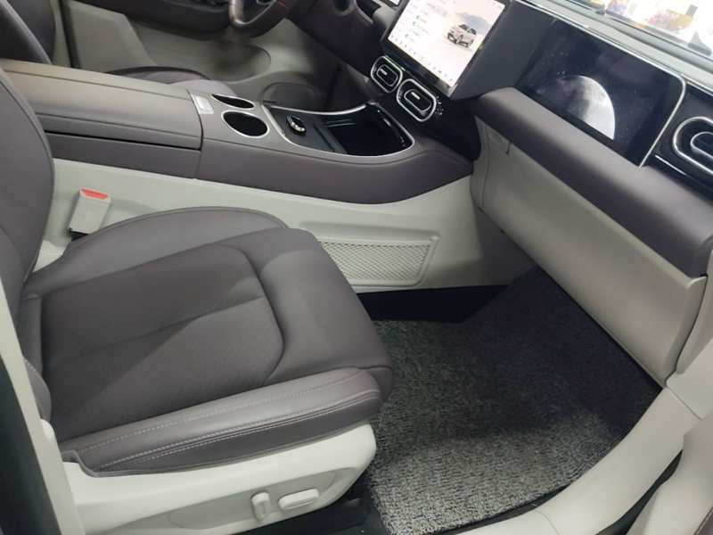 Used Leapmotor C11 2023 Pure Electric 500 Comfort Edition — 24