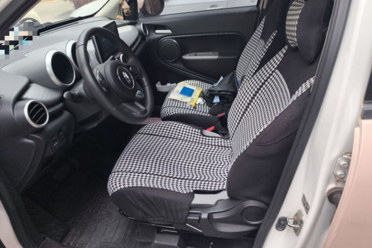 Used ORA Black Cat 2022 Updated Version 301 km Cute Pet Edition Lithium Iron Phosphate Left Front Seat