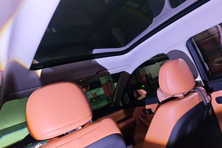 Used Leapmotor C10 2024 530 Smart Edition Headliner