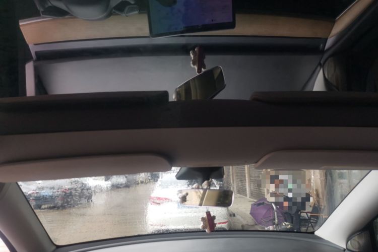 Used Tesla Model Y 2021 Long-Range All-Wheel-Drive Version Headliner