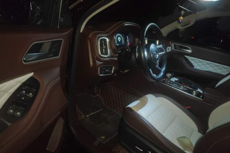 Used Great Wall Poer 2019 2.0T Automatic Gasoline 4x4 Premium Edition GW4C20B
