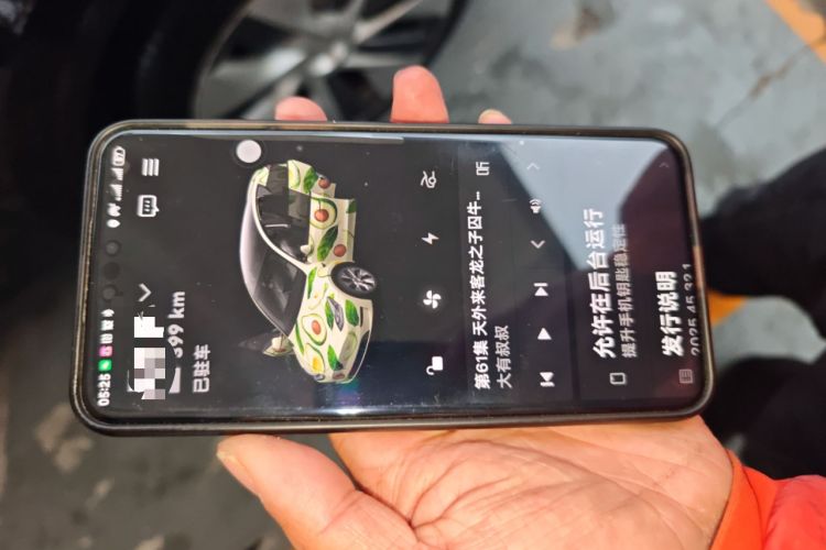 Used Tesla Model Y 2022 Rear-Wheel-Drive Version
