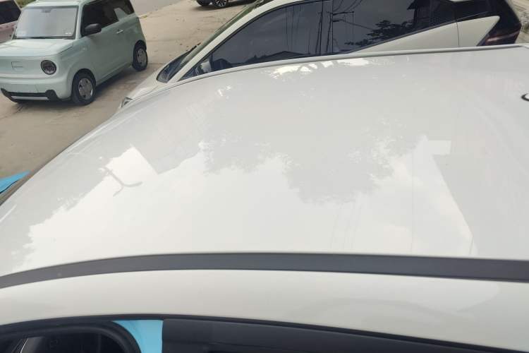 Used SOL E10X 2021 302 km Range Luxury Version 31.4 kWh Roof