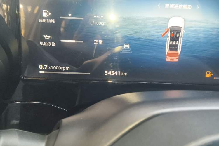 Used Geely Auto Monjaro L 2024 2.0TD DCT EVO Two-Wheel Drive Long-Range Version
