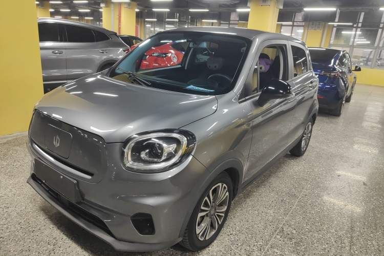 Used Leapmotor T03 2021 400 Lite Edition - Lithium-Ion Battery