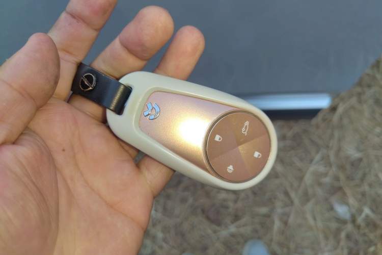 Used Nio ES8 2020 580 km Range Signature Edition Six-Seater Version
